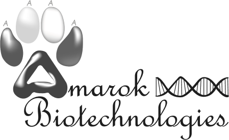 Amarok Biotechnologies logo black